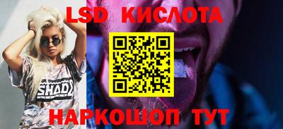 эйфоретик Можга